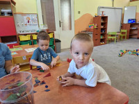 /album/malaci-prve-dni/7fc8ba32-8c0e-42ba-b41a-c88c3b2f92eb-jpg/