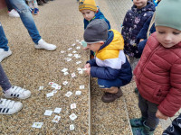 /album/rozlucka-so-zahradou/462551056-1031514385436763-586201639111632272-n-jpg/