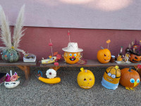 /album/rozlucka-so-zahradou/462454087-828632716097084-5487001390055287310-n-jpg/