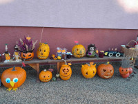 /album/rozlucka-so-zahradou/462035851-765322819020358-2883566317705283452-n-jpg/