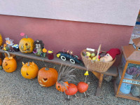 /album/rozlucka-so-zahradou/462536129-1202738994348997-6126797921266142374-n-jpg/