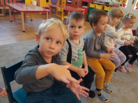 /album/oktober-malaci/75387732-6e62-44bc-9604-66c54d8de843-jpg/