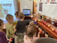 /album/oktober-malaci/11-jpg/