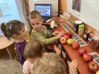 /album/oktober-malaci/12-jpg2/