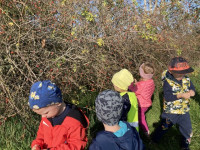 /album/november-malaci/a-jpg/