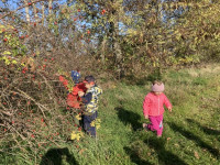 /album/november-malaci/b-jpg/