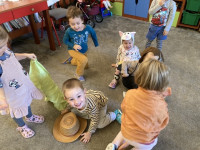 /album/november-malaci/r5-jpg/