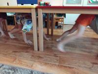 /album/velkaci-november/462580203-1280707243070158-858010852138467784-n-jpg/